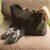 Olive Tree Suede
