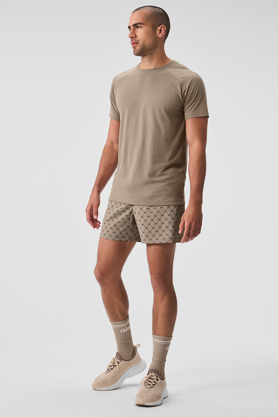 Triumph Raglan Tee - Gravel - Image 5